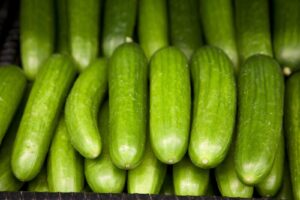 cucumber plants and tips for growth - leafybear.com