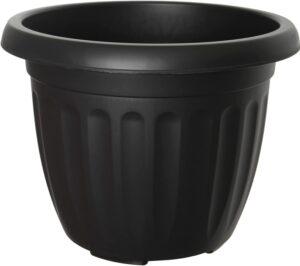 black round pot - repotting Christmas tree pots and ideas