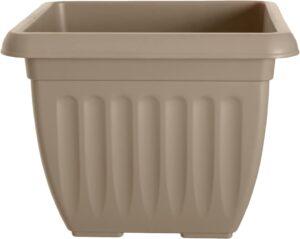 repotting Christmas tree - taupe square pot